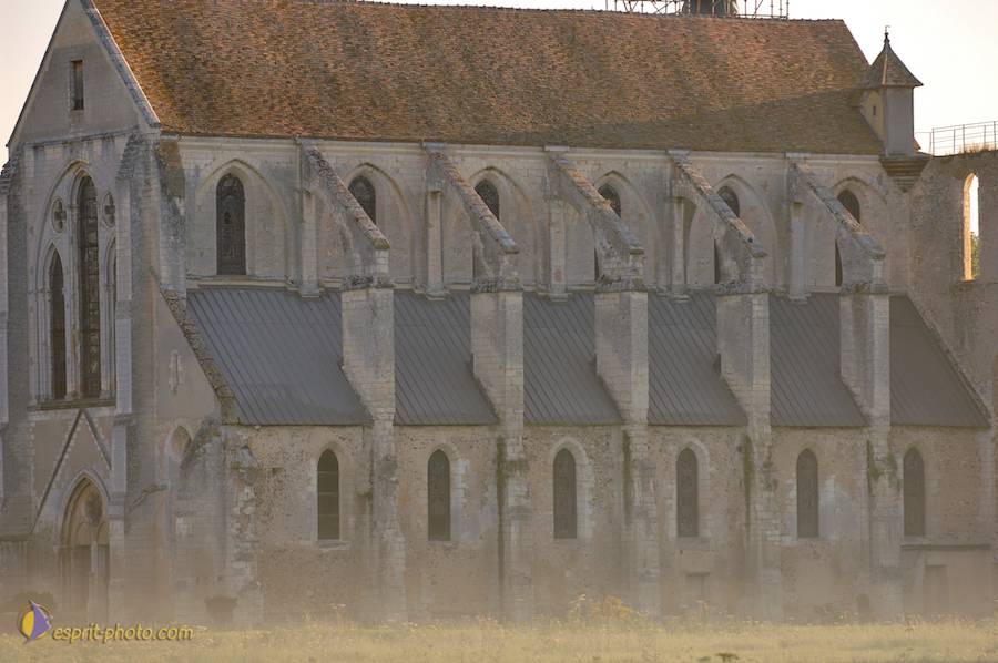 Nom de l'image : D2237858_1_(c)Norbert-JUNG — Description :